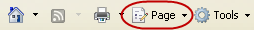 Internet Explorer Page Icon