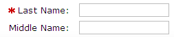 Single-Line Text Input Field