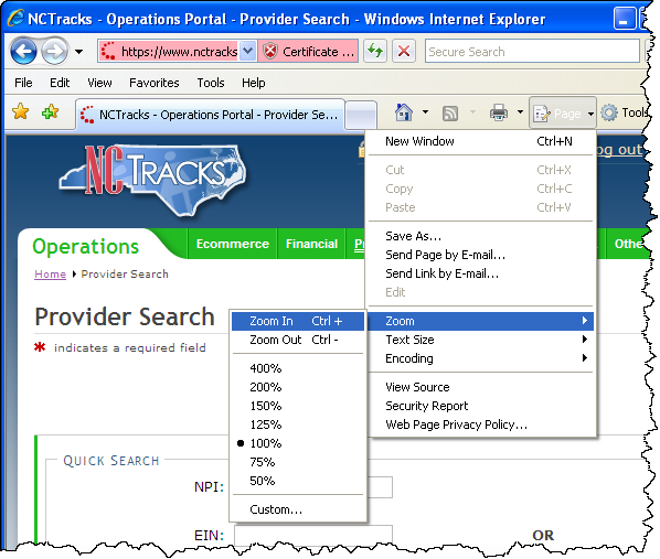Internet Explorer Zoom Function